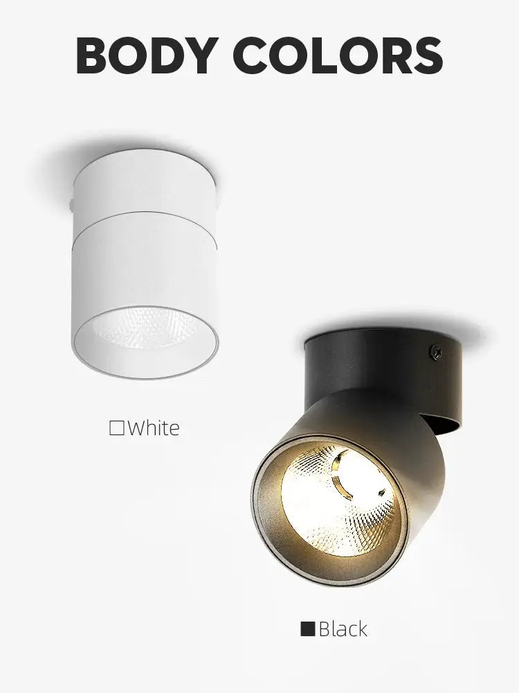 Spot LED Downlight surface-mounted ceiling lamp in white and black (2-pack), 220V dimmable spotlight
