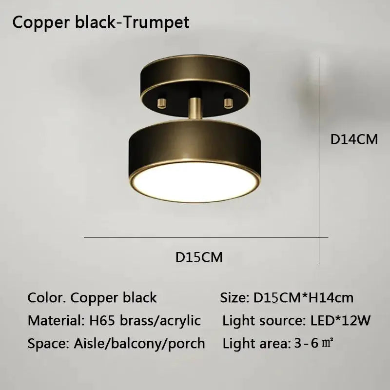 Modern LED ceiling light copper black, round Nordic fixture for bedroom or living room