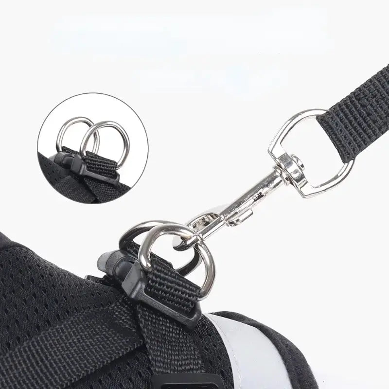 Mesh Breathable Adjustable Dog Harness And Leash Set No Pull Reflective Vest Harness For Comfort And Control