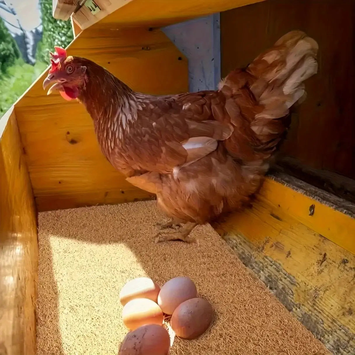 Natural Coconut Coir Nesting Liner for Chicken Coop Nest Box Mat and Nest Mat Box Liner