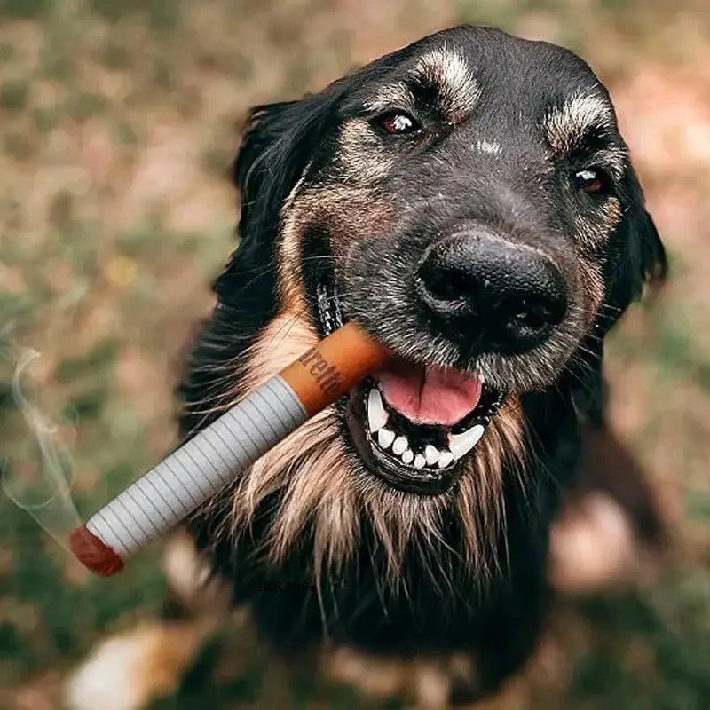 Simples Market plush dog toy with cigarette design, giggling chewing toy for dogs