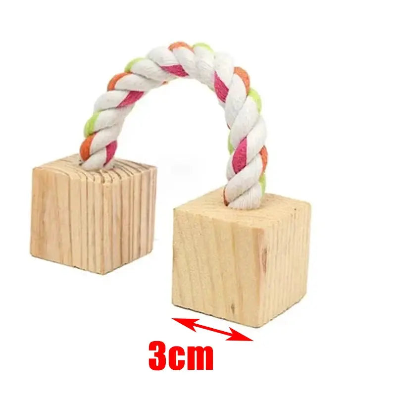 Small animal chew toy with two natural wooden cubes connected by a multicolor braided rope handle (3 cm)