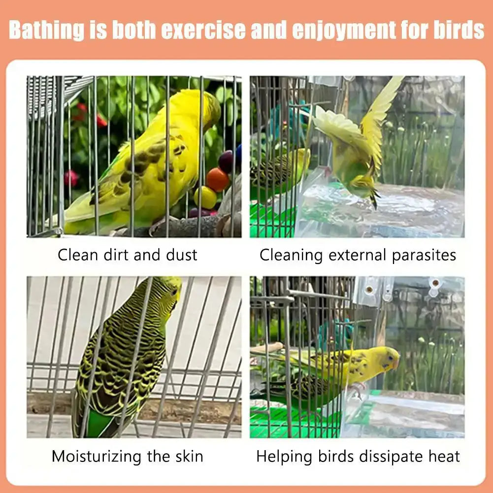 Hanging bird bath cube by Simples Market for small parrots and canaries; clear plastic cage bath accessory