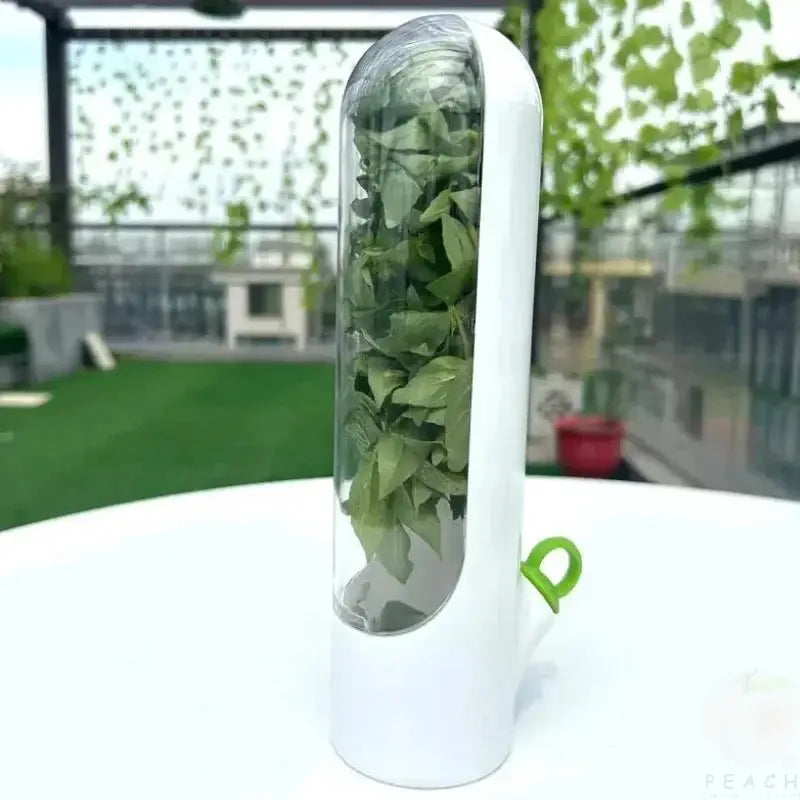 Cross Border Vanilla Vegetable Fresh Keeping Box Dust Proof Anti Pressure Environmental Protection Storage Device