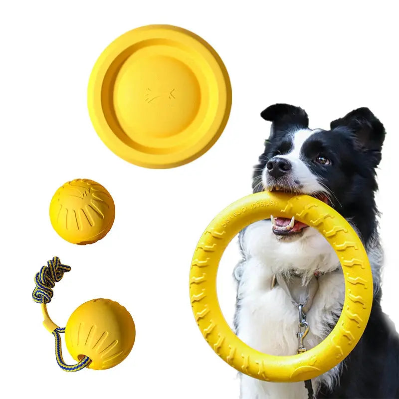 Simples Market EVA dog toys 4-pack: yellow flying disc, chew ball, rope tug with ball, and ring chew toy