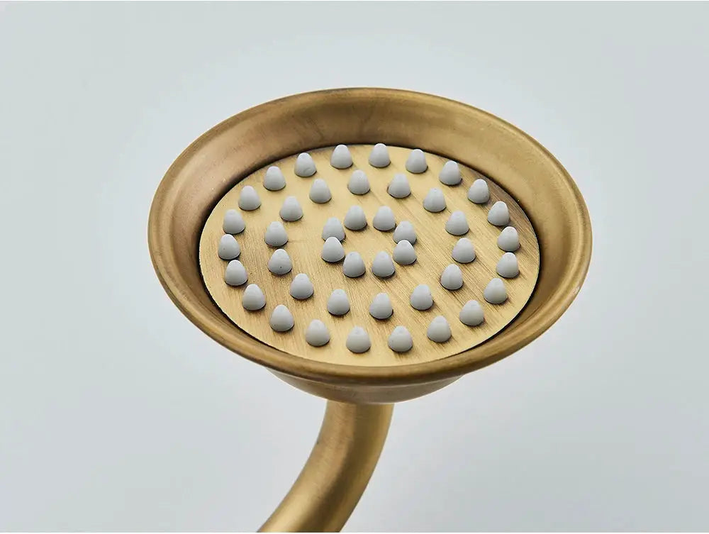 Antique brass handheld shower head with grey nozzle tips.