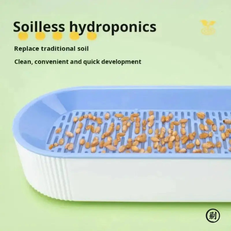 Hydroponic Cat Grass Box Kit for Easy Growth Soilless Planting Cat Grass Pot Set Cat Treats