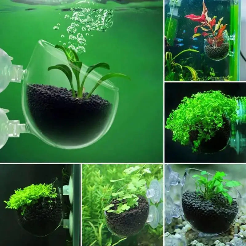 Clear Acrylic Aquatic Plant Cup For Aquarium With Suction Holder Feeding Container Stand Landscape Tank Decor