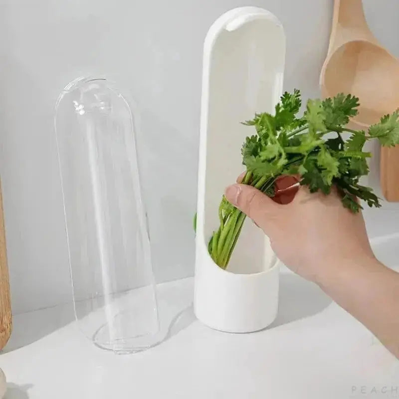 Cross Border Vanilla Vegetable Fresh Keeping Box Dust Proof Anti Pressure Environmental Protection Storage Device