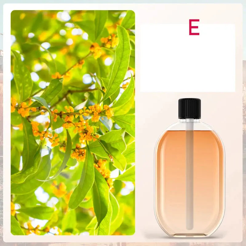 Automatic Fragrance Diffuser USB Powered Essential Oil Diffuser With Spraying And Light For Living Room And Bedroom