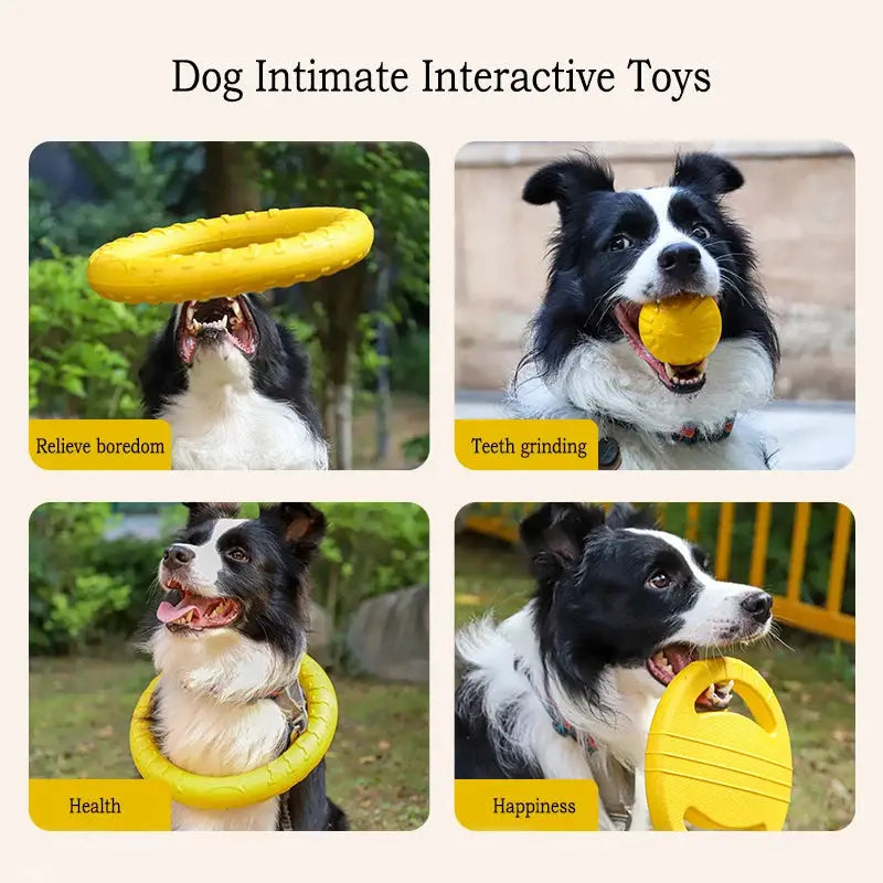 Simples Market EVA dog toys 4-pack: yellow flying disc, ball, and tug rope