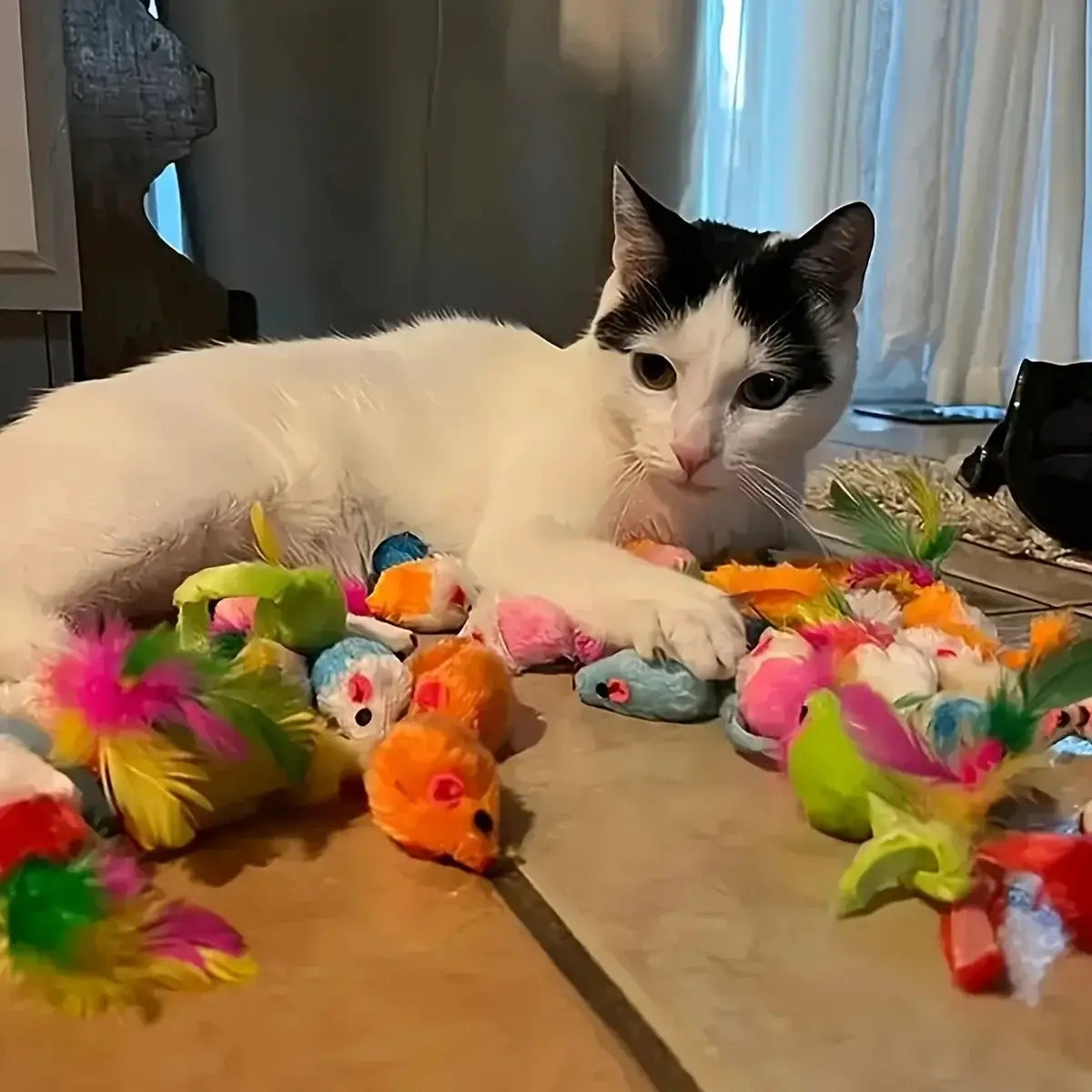 Cat Toys Mixed Pack 56 28 14 Plastic and Plush for Multi Cat Play