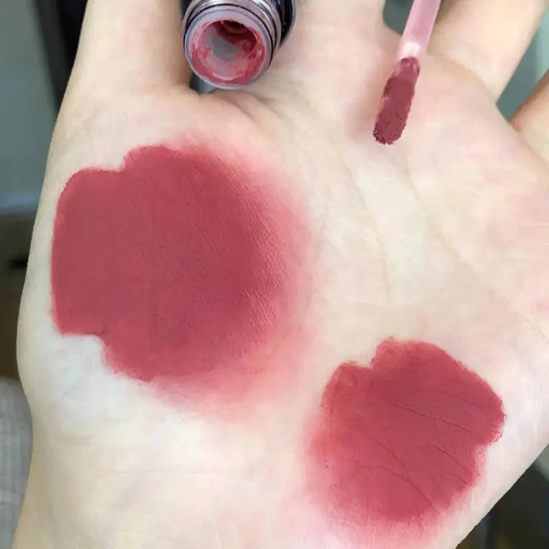 Single Velvet Matte Mist Lip Gloss Waterproof Liquid Lipstick Smudge Proof Not Fade Cup Lip Glaze