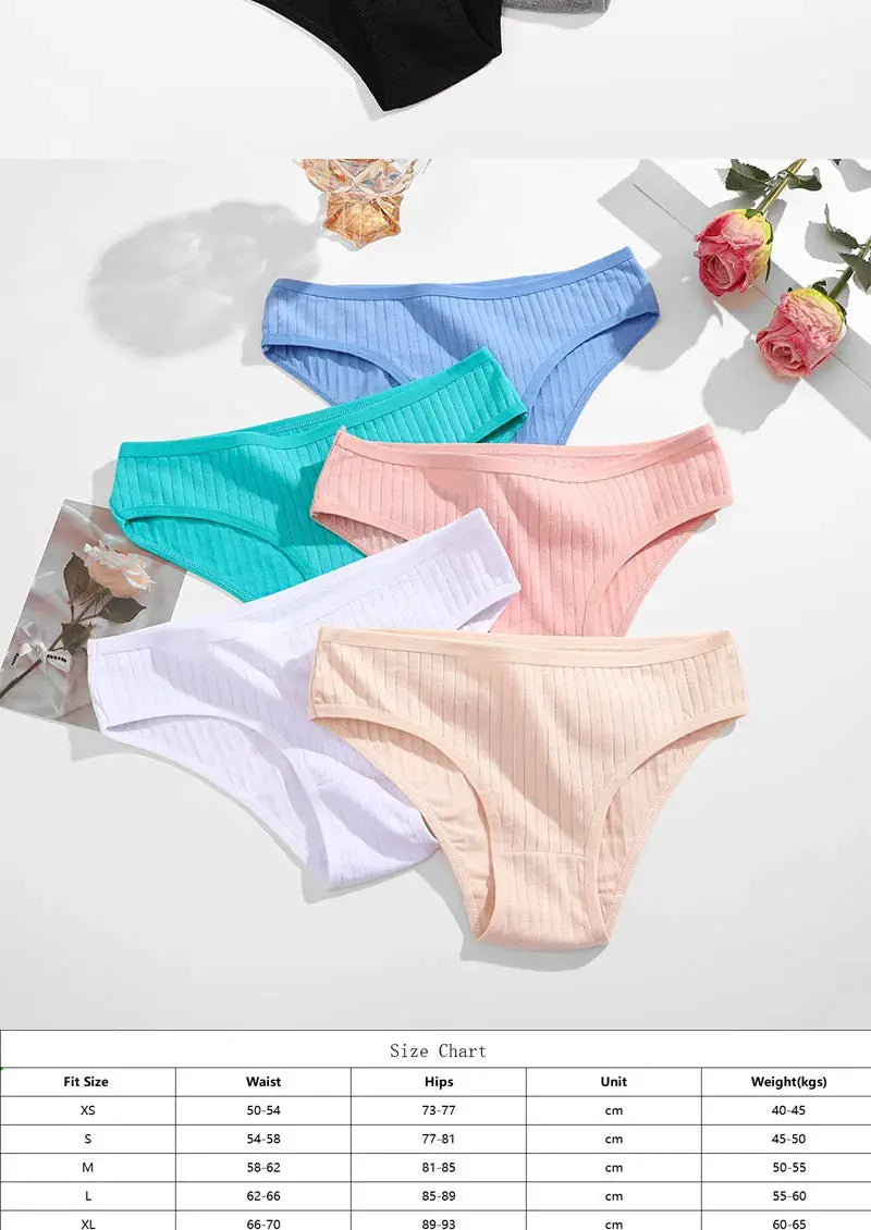 Women's cotton panty set in assorted colors with ribbed stripes, 6-piece, sizes M–XL