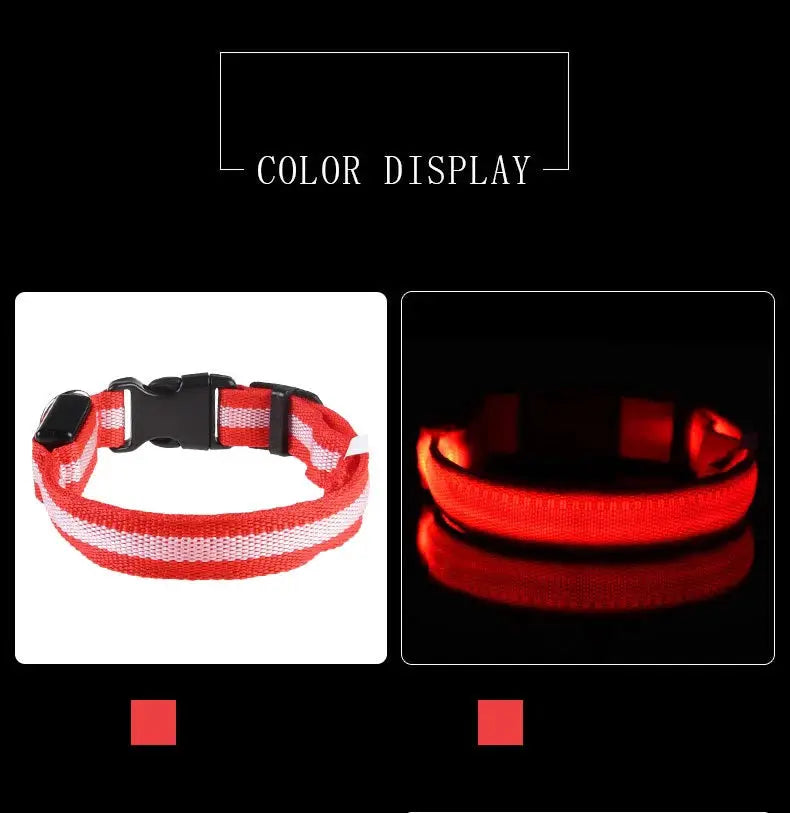 Nylon LED dog collar with red/white stripes; glow-in-the-dark safety lighting