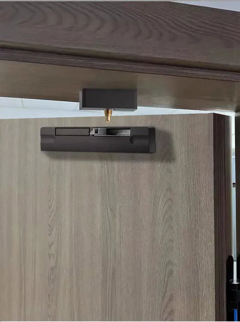 Hydraulic door closer damper on a wooden exterior door; black finish, silent auto-closing.