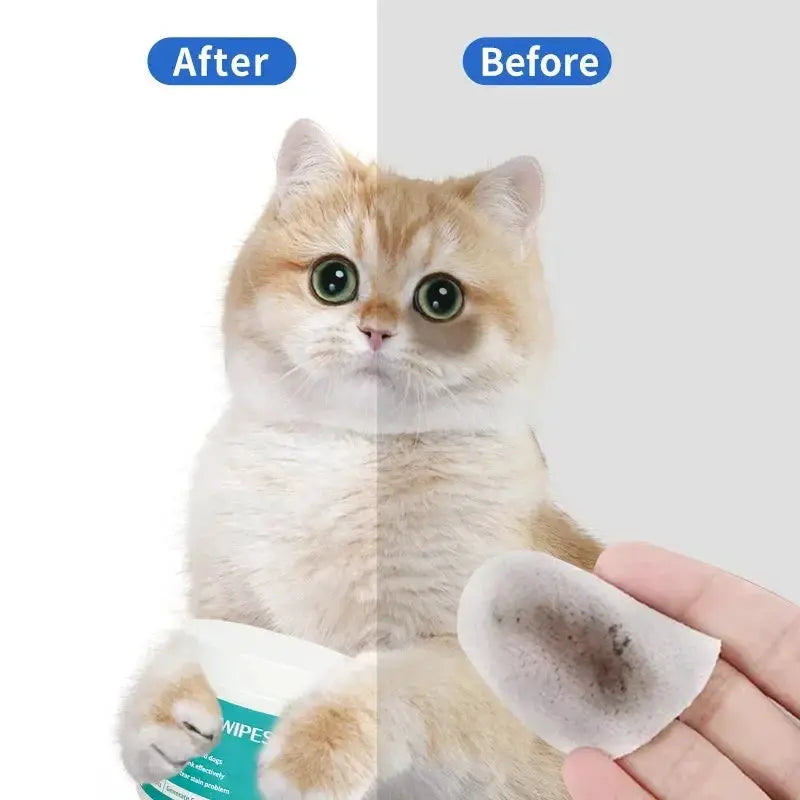 Pet Eye Wipes For Tear Stains Gentle Cat And Dog Eye Cleaning Wet Tissues To Remove Tear Marks