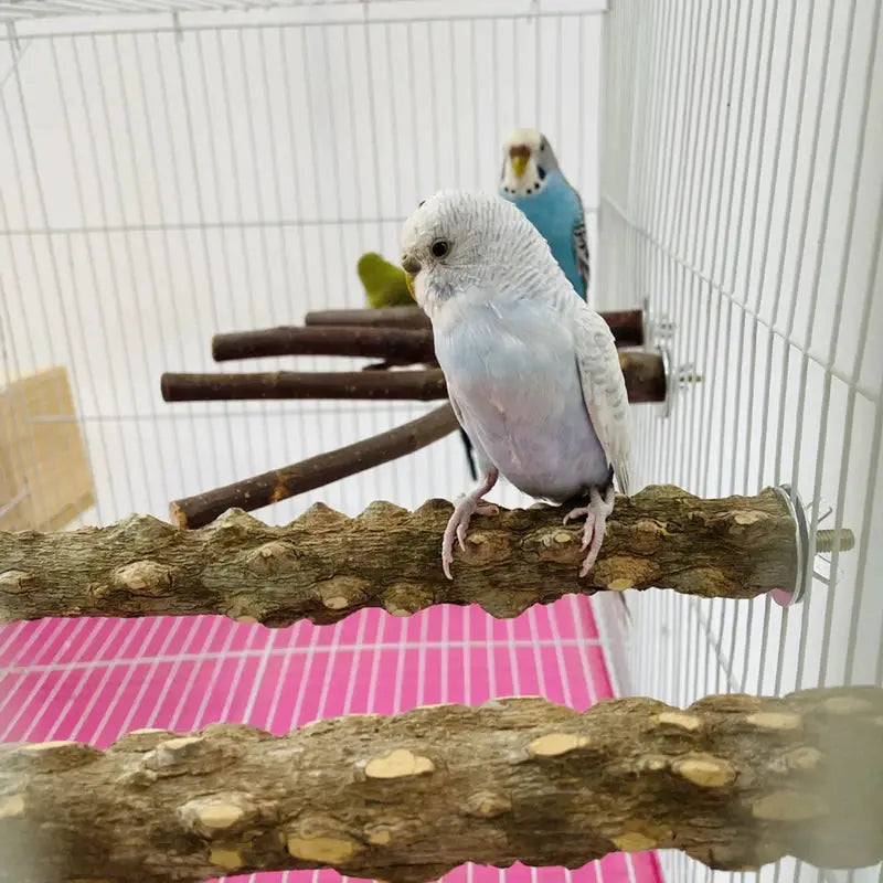 Bird Claw Beak Grinding Bar Standing Perch in cage; brown wooden branch with a blue and white parrot perched.