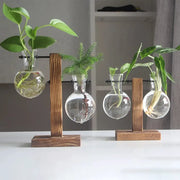 Creative glass desktop planter bulb vases on wooden stands; hydroponic plant containers (set of 4)