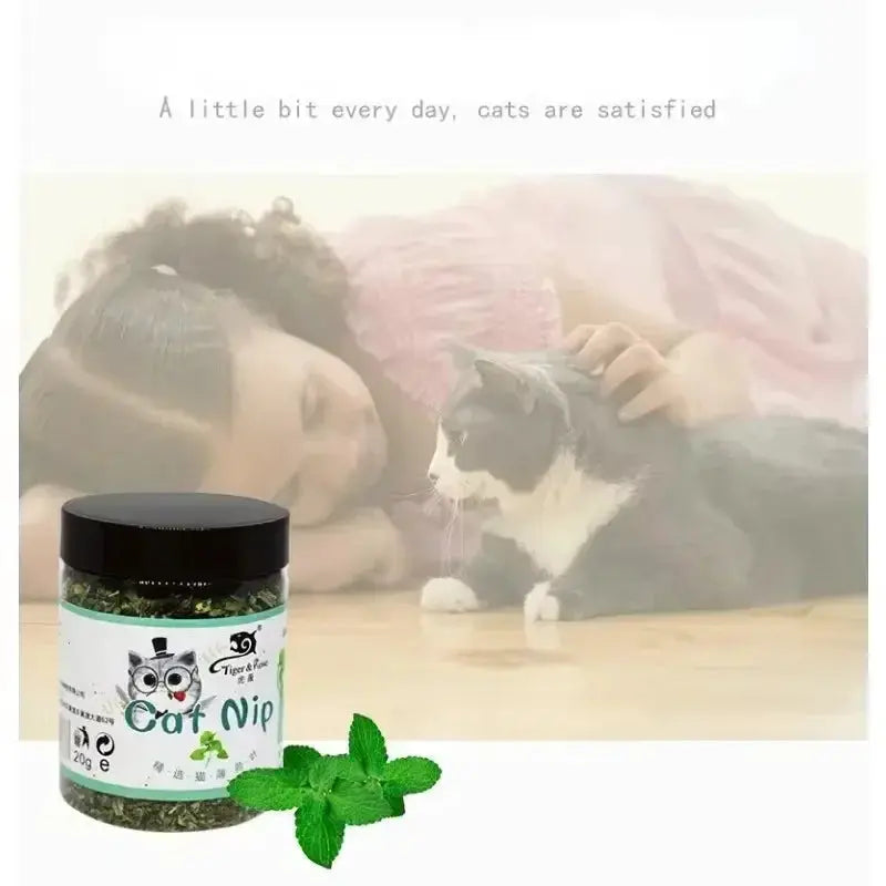 Catnip jar with mint leaves beside a cat, organic Simples Market catnip for interactive cat toys