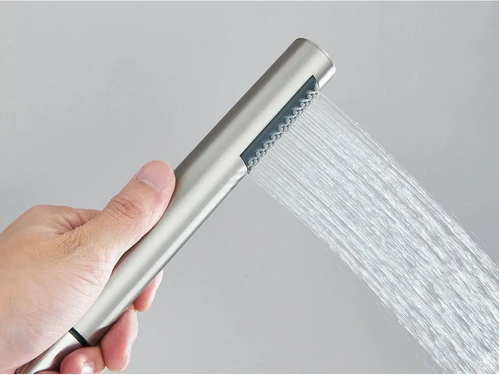 Handheld shower head with brushed silver body and black plastic spray head, single function.