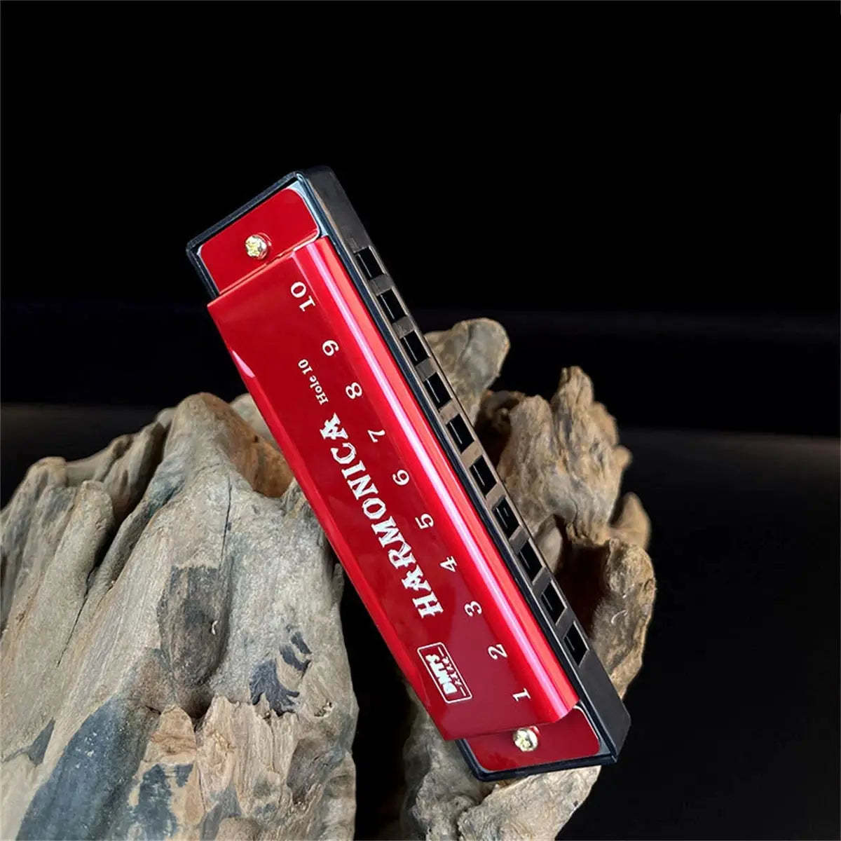 Key of C 10 Hole Diatonic Harmonica with Case for Beginners Kids Students Gift Bundle
