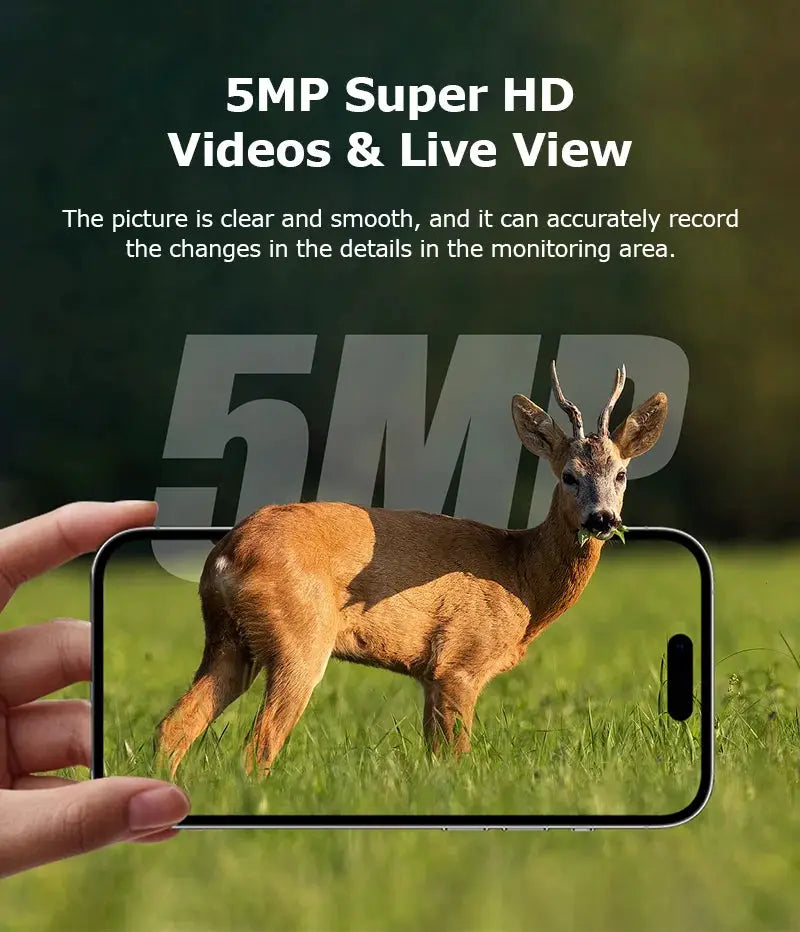 INQMEGA4G trail camera by Simples Market; 2K 5MP PIR solar, IP66 rugged, deer in forest.