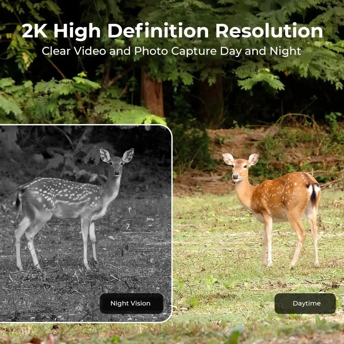 Simples Market trail camera EU 4G 2K outdoor IP65 with night vision and day/night capture
