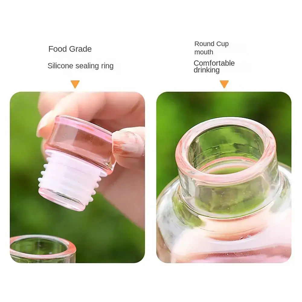 INS Style 500ml Transparent Water Bottle Leakproof Drinking Cup For Tea Coffee And Students