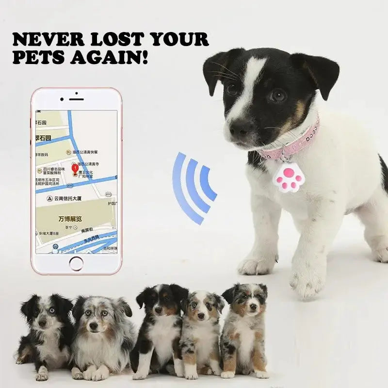 Mini pet GPS tracker on pink collar; iOS/Android locator with map, dog and five puppies, Simples Market