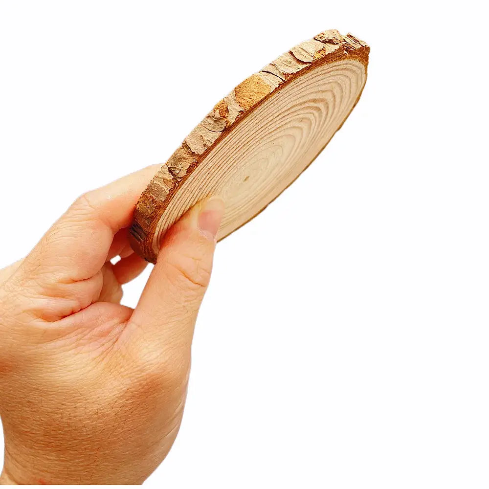 Natural Pine Wood Slices Round Discs Bark Edge 1 Pack Unfinished For DIY Crafts Wedding Decor Painting 3 To 12 Cm