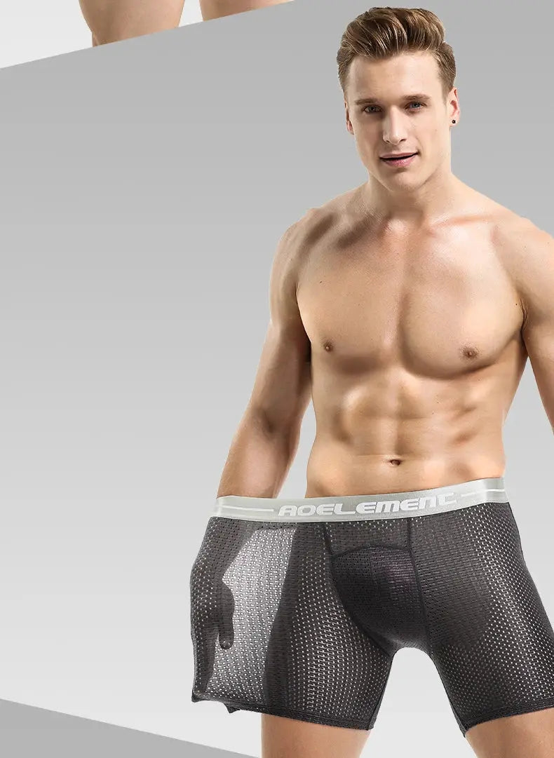 Men's mesh boxer shorts, black with gray waistband, waistband branding visible, large size