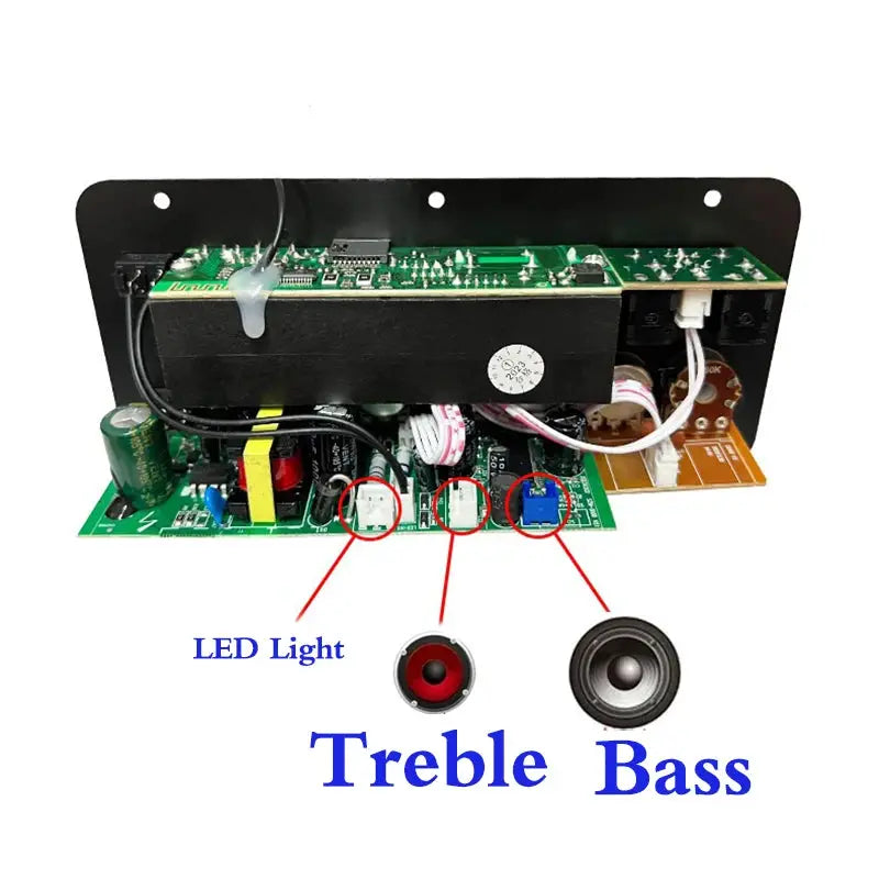 D10 Bluetooth Amplifier Board 30 120W Dual Microphone Inputs With Reverb Control For 4 Ohm Speakers 12V 24V 110V 220V