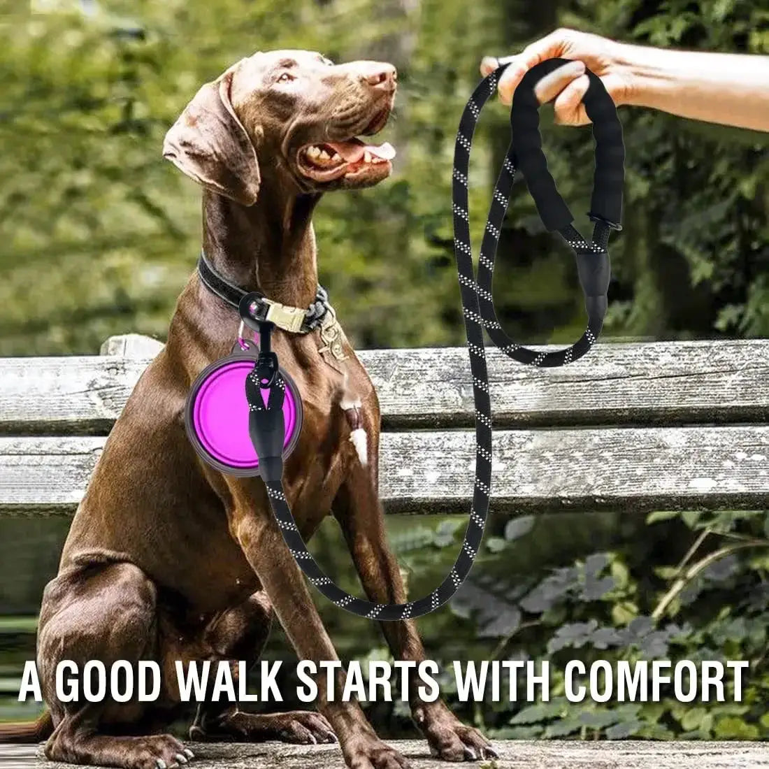 Strong Durable Reflective Nylon Dog Leash For Small Medium And Large Dogs Heavy Duty Tow Safe Walk