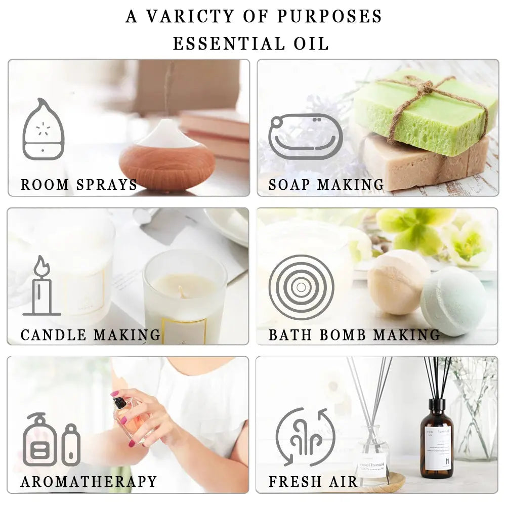 Phatoil Coffee Coconut Vanilla Fragrance Essential Oil Diffuser 10ml With Dropper White Musk Orchid Magnolia Marigold